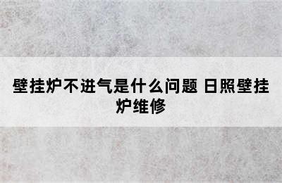 壁挂炉不进气是什么问题 日照壁挂炉维修